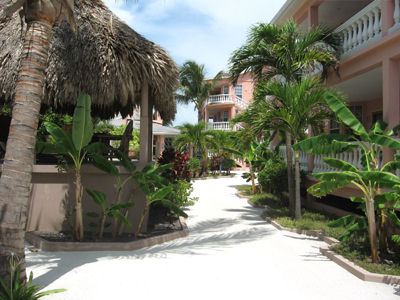 the courtyard at The Iguana Reef Inn, the premier hotel on Caye Caulker in Belize, is ideal for experiencing the spectacular Scuba, diving, snorkeling, fishing and windsurfing at the Belize barrier reef.