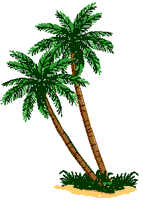 left palm tree image for Belize travel specialists offer fascinating eco-tours, adventure tours and scuba diving in Belize, 
hiking, exploring, caving, diving, snorkeling, horseback riding, kayaking, cruising, liveaboard dive boats, catamaran charters, 
villa rentals, beach hotels, dive resorts, private islands
