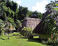 Pook's Hill Lodge, a beautiful, remote jungle lodge of comfortable thatched roof cabanas set in prime rainforest in Western Belize participating in ecotourism.and offering easy access to the Mayan cities in Belize and the tropical jungle in Belize.